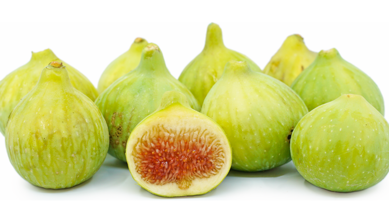 Everything You Need to Know About Byadi - DDMalar